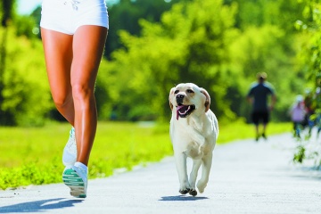 ¿Por qué está bueno salir a correr con tu perro?