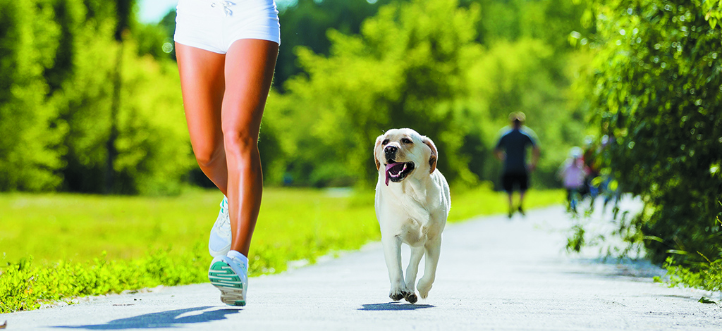 ¿Por qué está bueno salir a correr con tu perro?